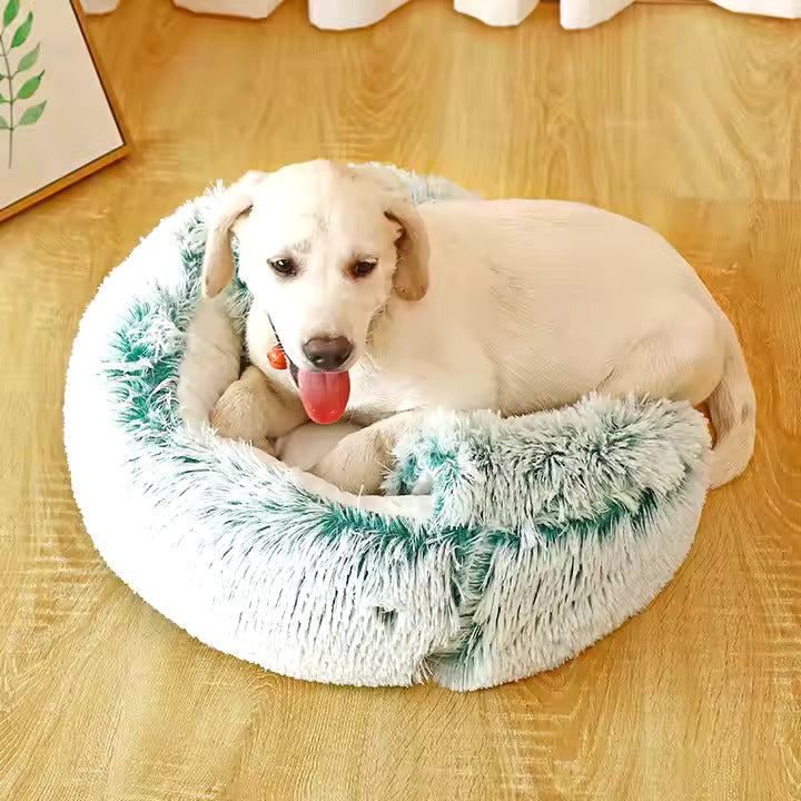 A white dog lying on a white plush round bed with green-tipped pile, the hood folded down