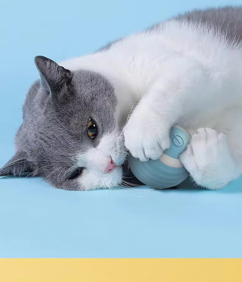 A grey and white cat hugging the blue ball
