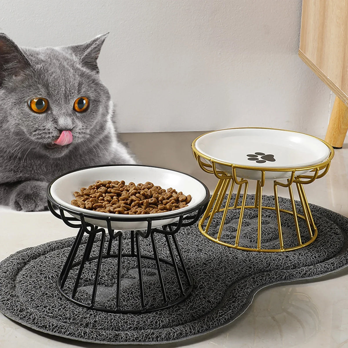 A grey cat beside two raised bowls, one in a black stand and one in a gold stand