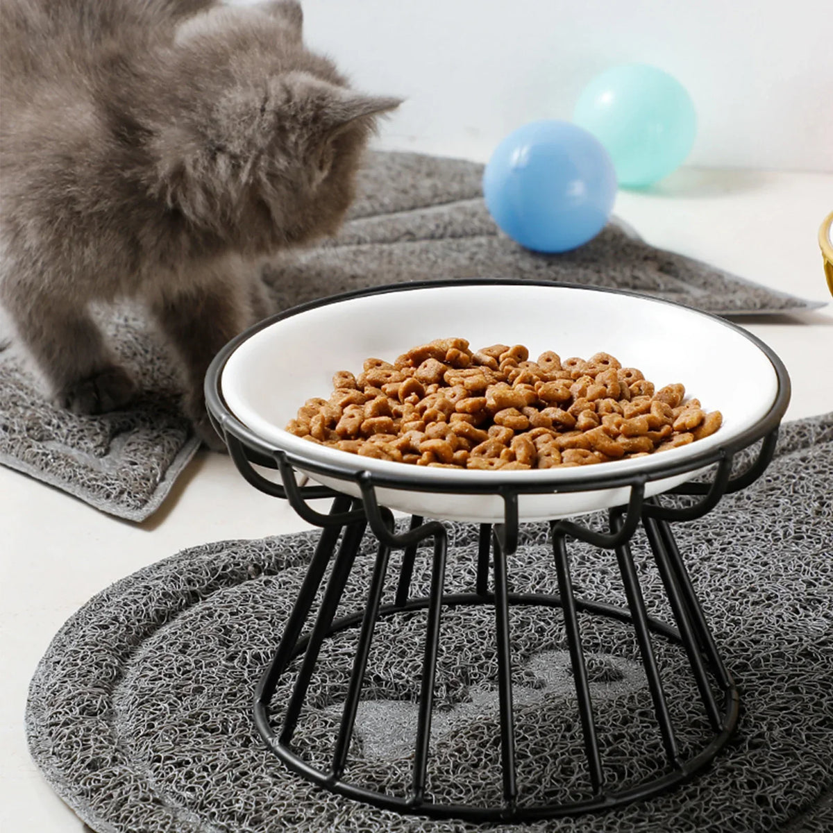 A grey kitten beside the black-stand bowl filled with dry food
