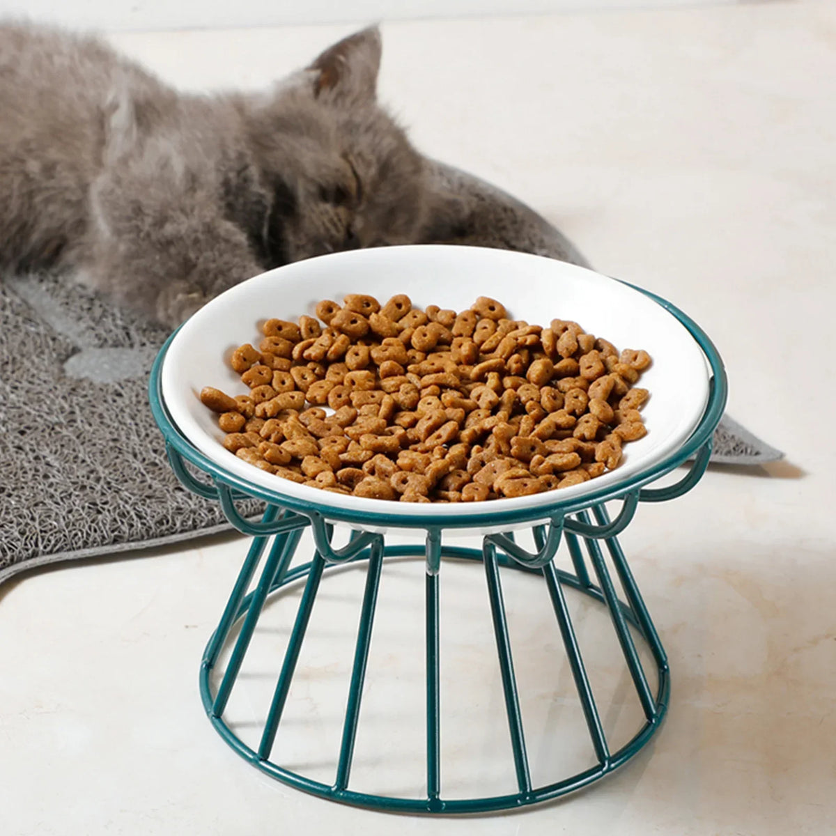 A kitten by a raised bowl in a green stand, a colour not sold here