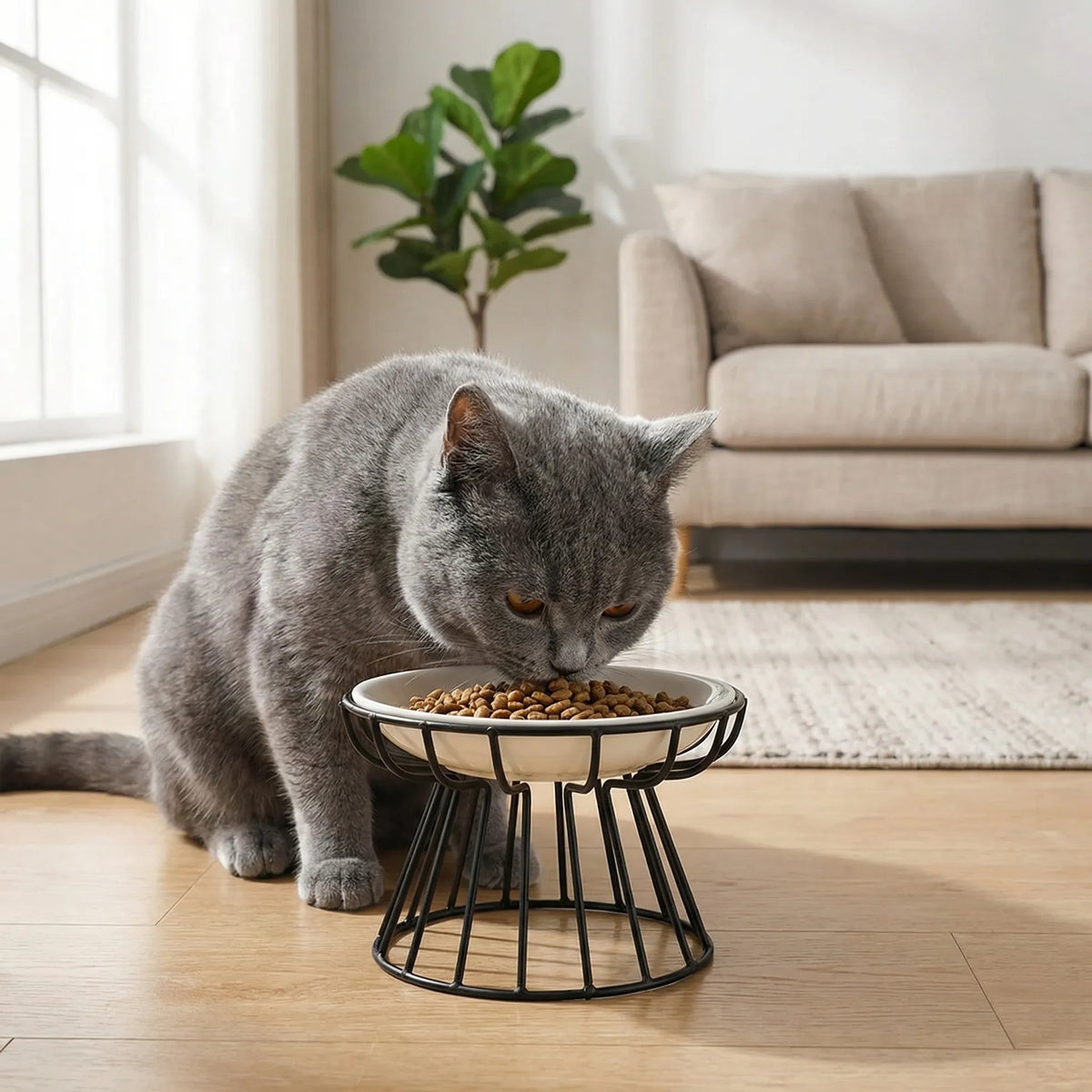 A grey cat eating from the raised ceramic bowl in a living room