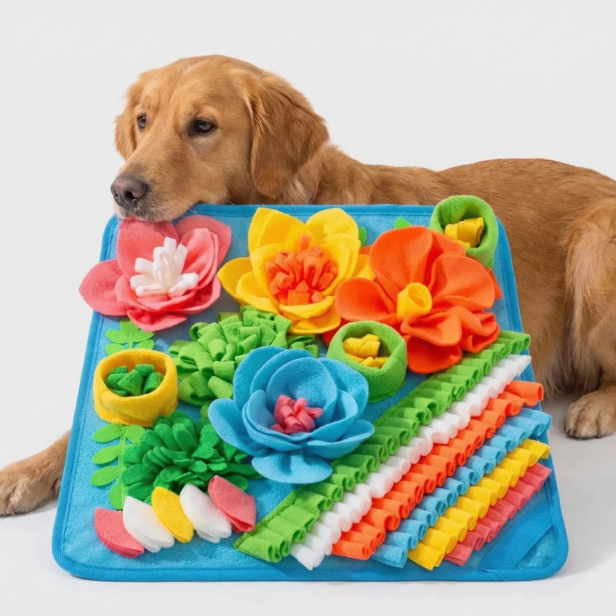 A golden retriever resting its head on the flower snuffle mat
