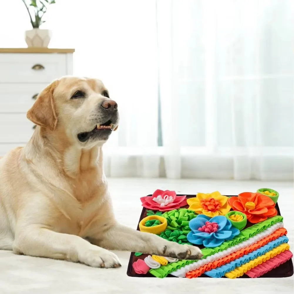 A Labrador lying beside the flower snuffle mat