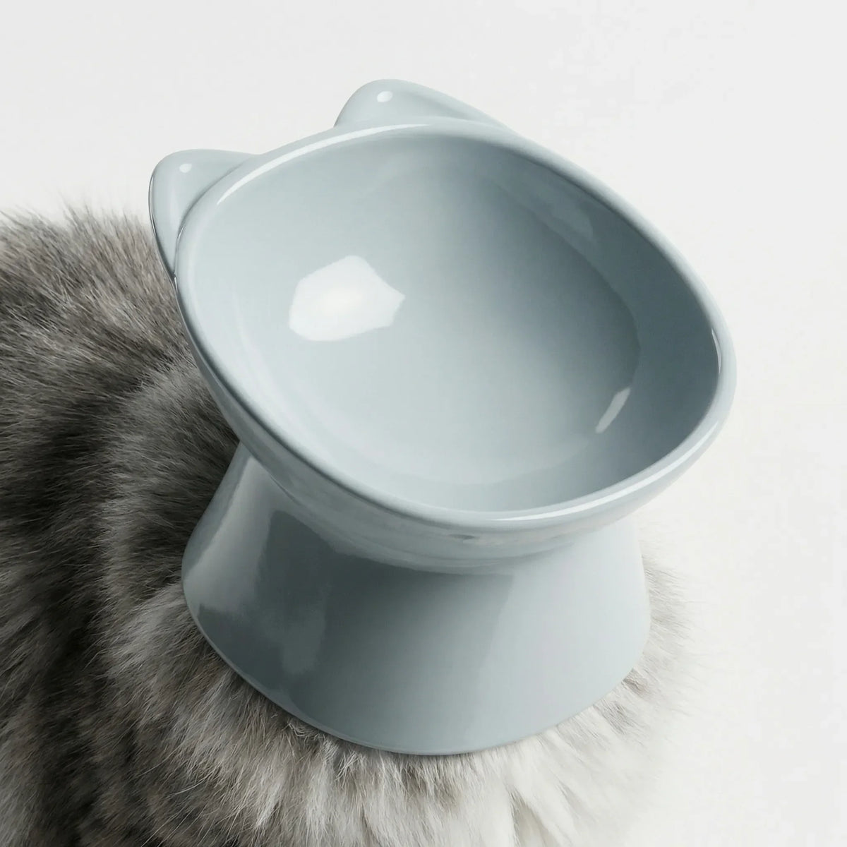 Pale grey raised cat bowl with a tilted opening and cat-ear rim