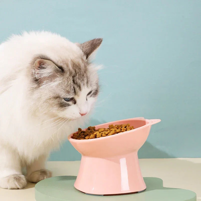 A white cat eating from the pink raised bowl