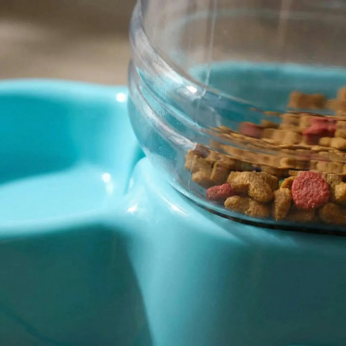 Close-up of dry food at the bottom of the reservoir above the blue base