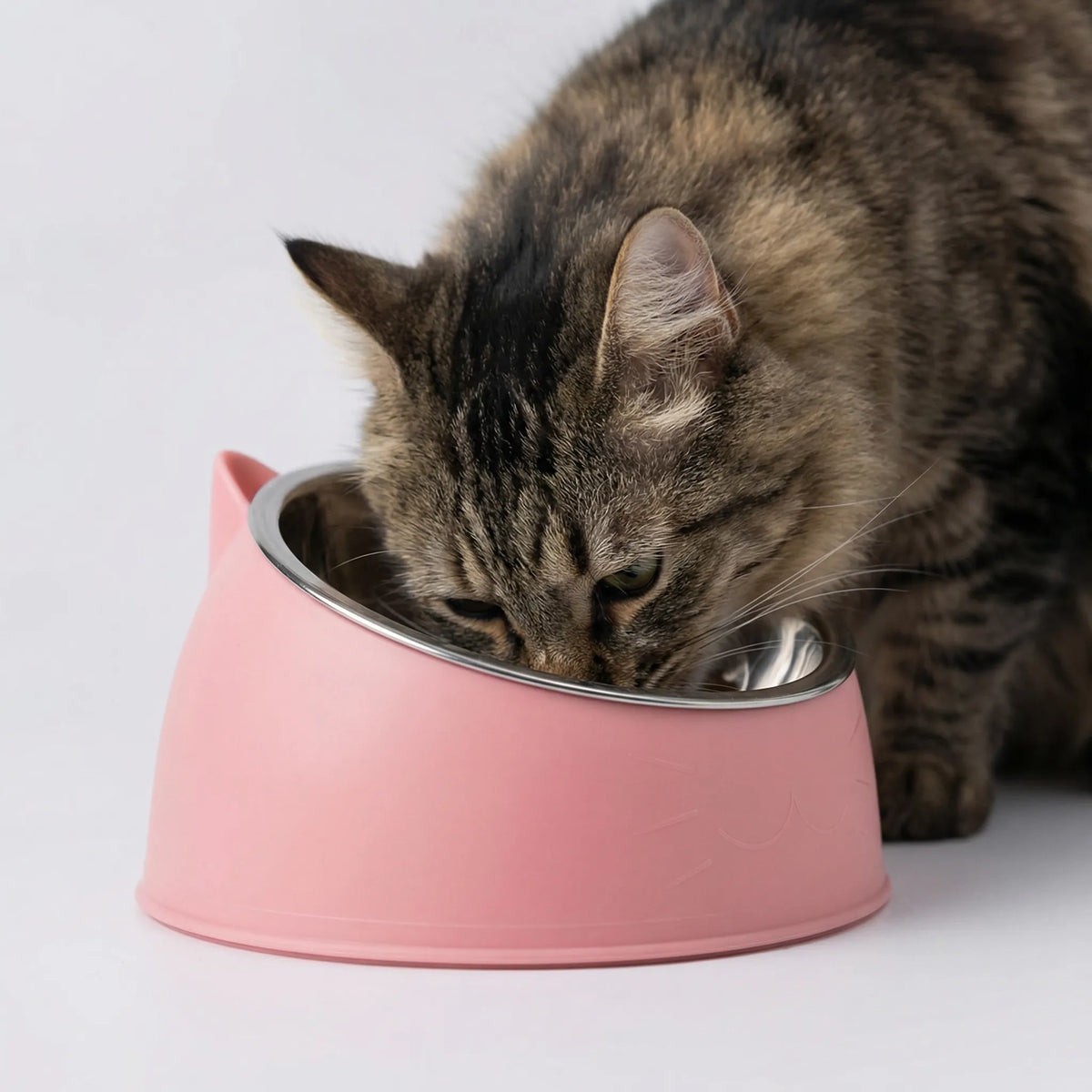A tabby cat eating from the pink tilted bowl