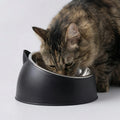 A tabby cat eating from the black tilted bowl