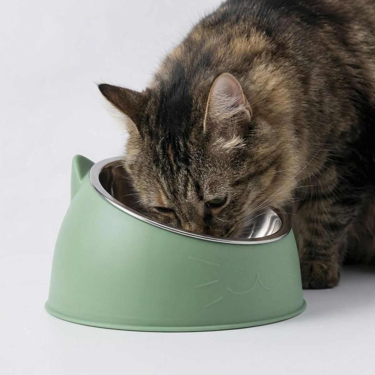 A tabby cat eating from the green tilted bowl