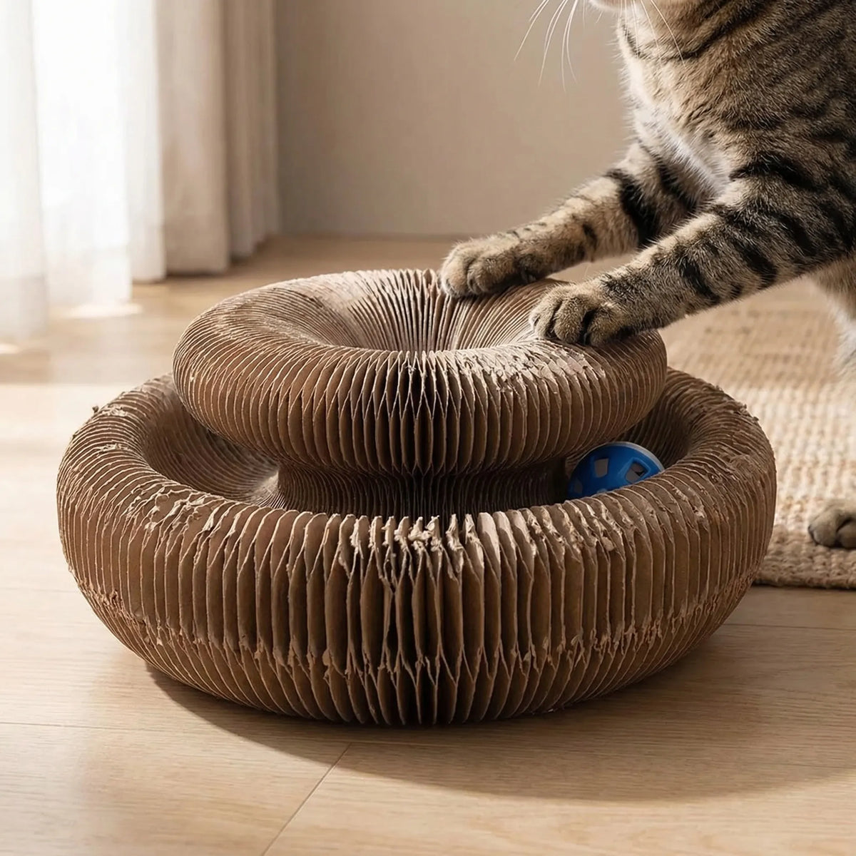 A tabby cat scratching the raised ring of the round accordion scratcher on a wooden floor