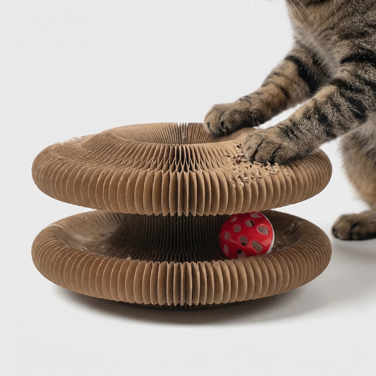 The two rings of the scratcher with a red bell ball between them