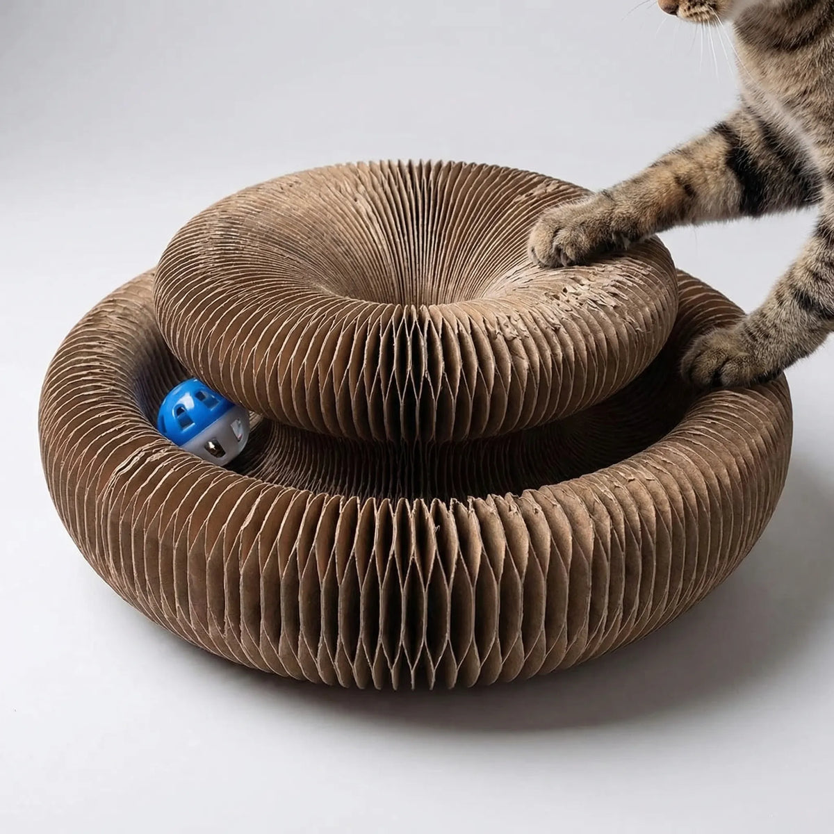 A tabby cat pawing the round accordion scratcher with a blue bell ball in its track