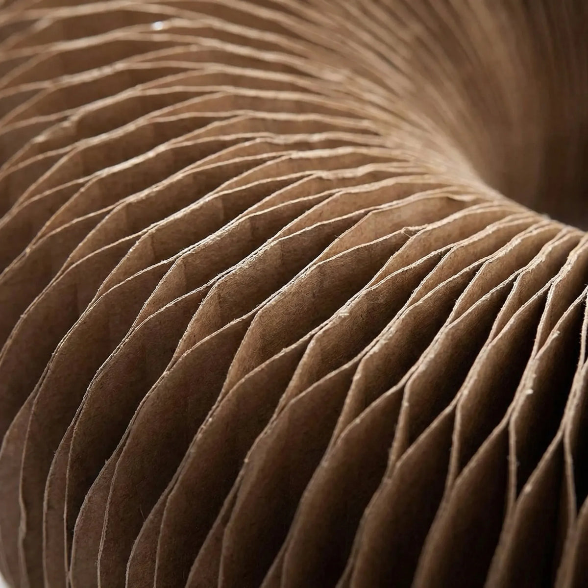 Close-up of the accordion-folded scratching surface