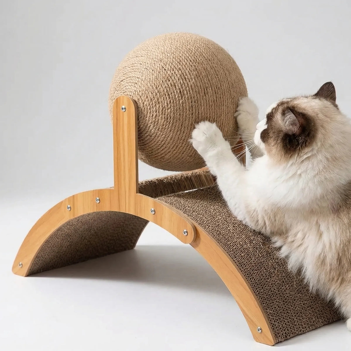 A ragdoll cat pawing the sisal ball