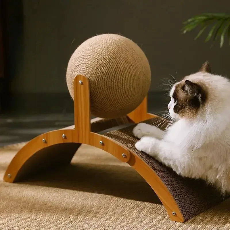 A ragdoll cat with its paws on the curved board