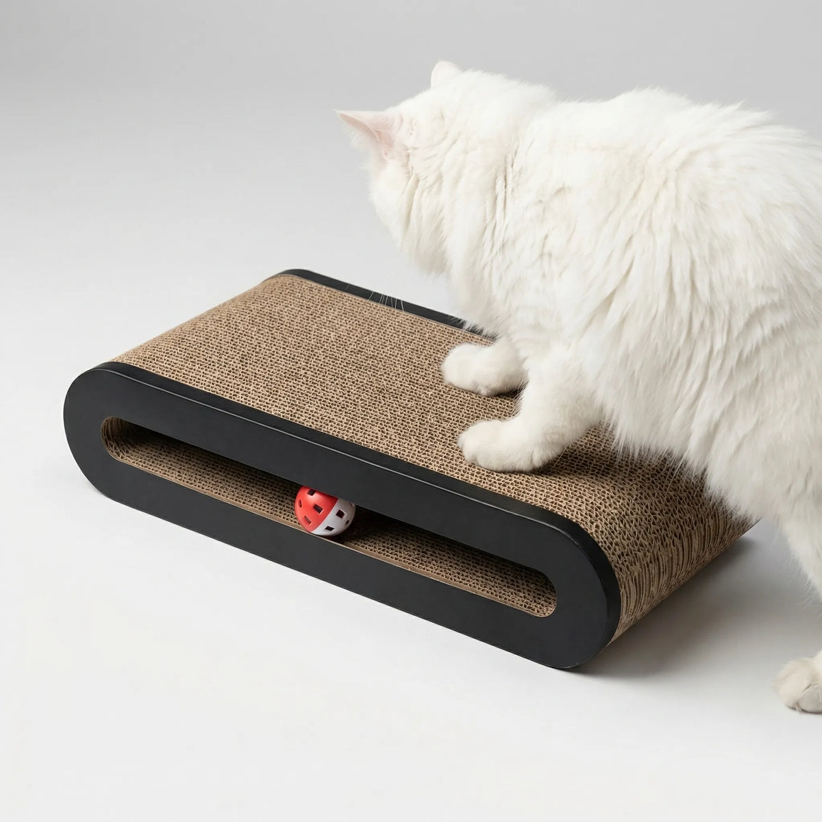 A white cat on a low, lying version of the scratcher with a red ball