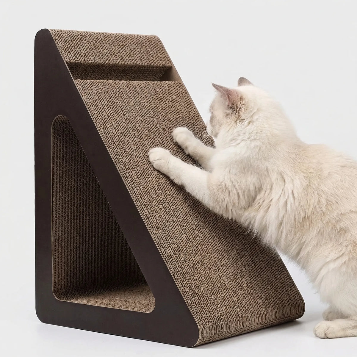 A white cat scratching the sloped cardboard front of the scratcher