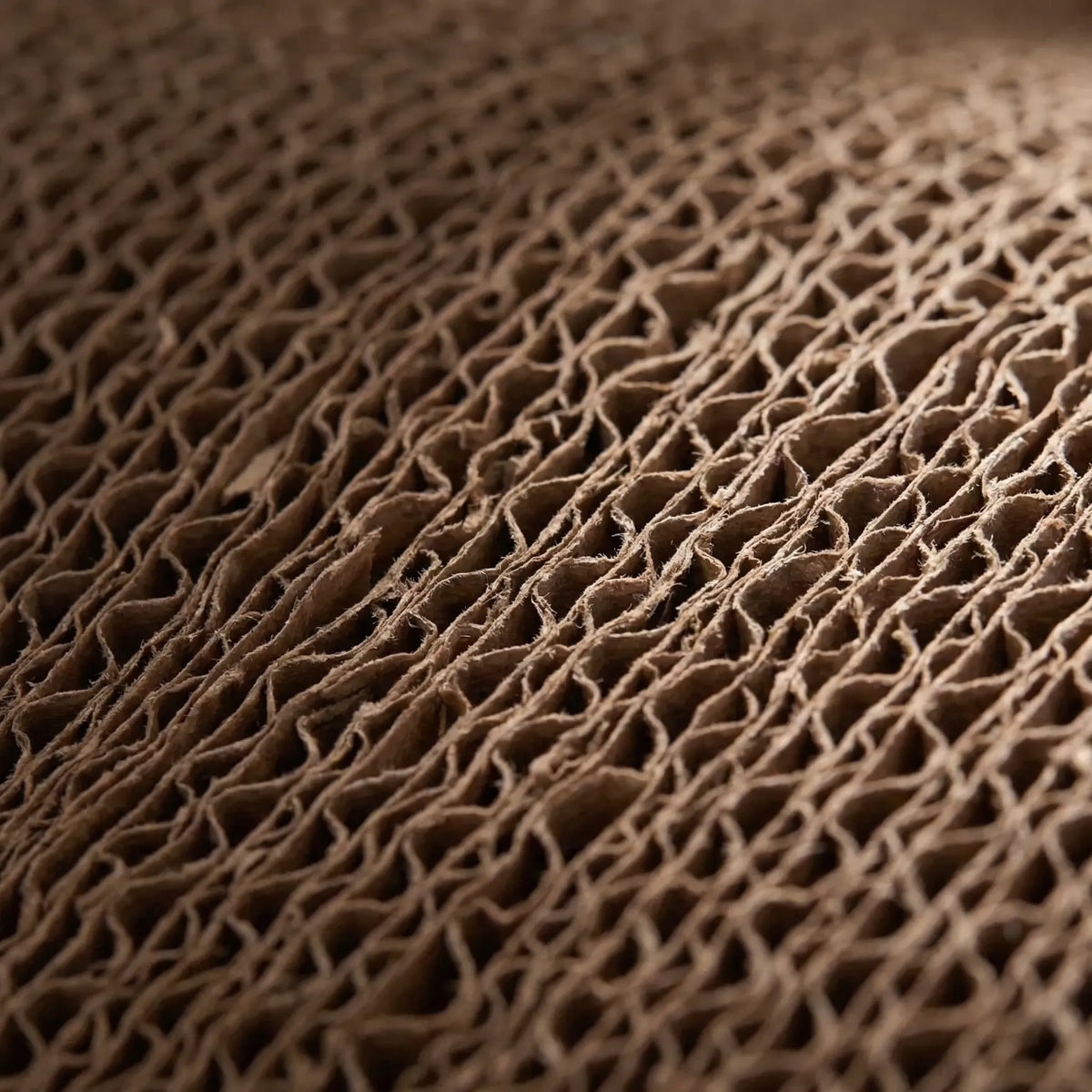 Close-up of the grooved corrugated cardboard surface
