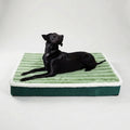 A black Labrador lying on the green ribbed foam mattress with a dark green base