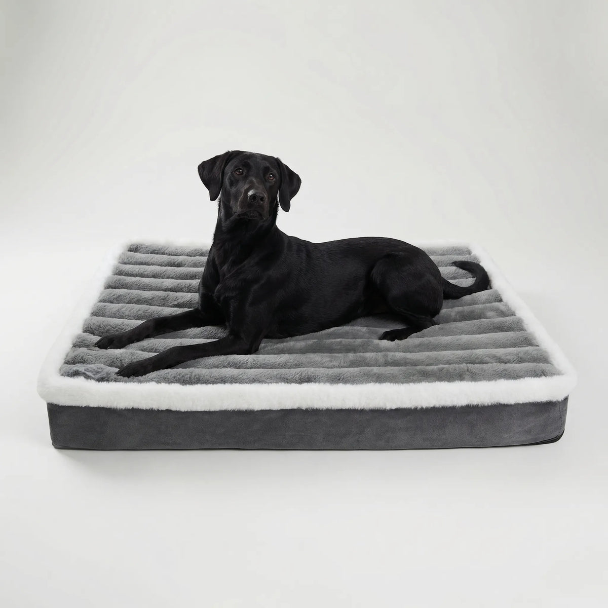 A black Labrador lying on the grey ribbed foam mattress