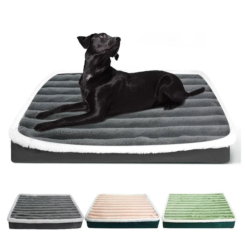 The mattress with a black Labrador, and the three colours side by side: grey, pink and green