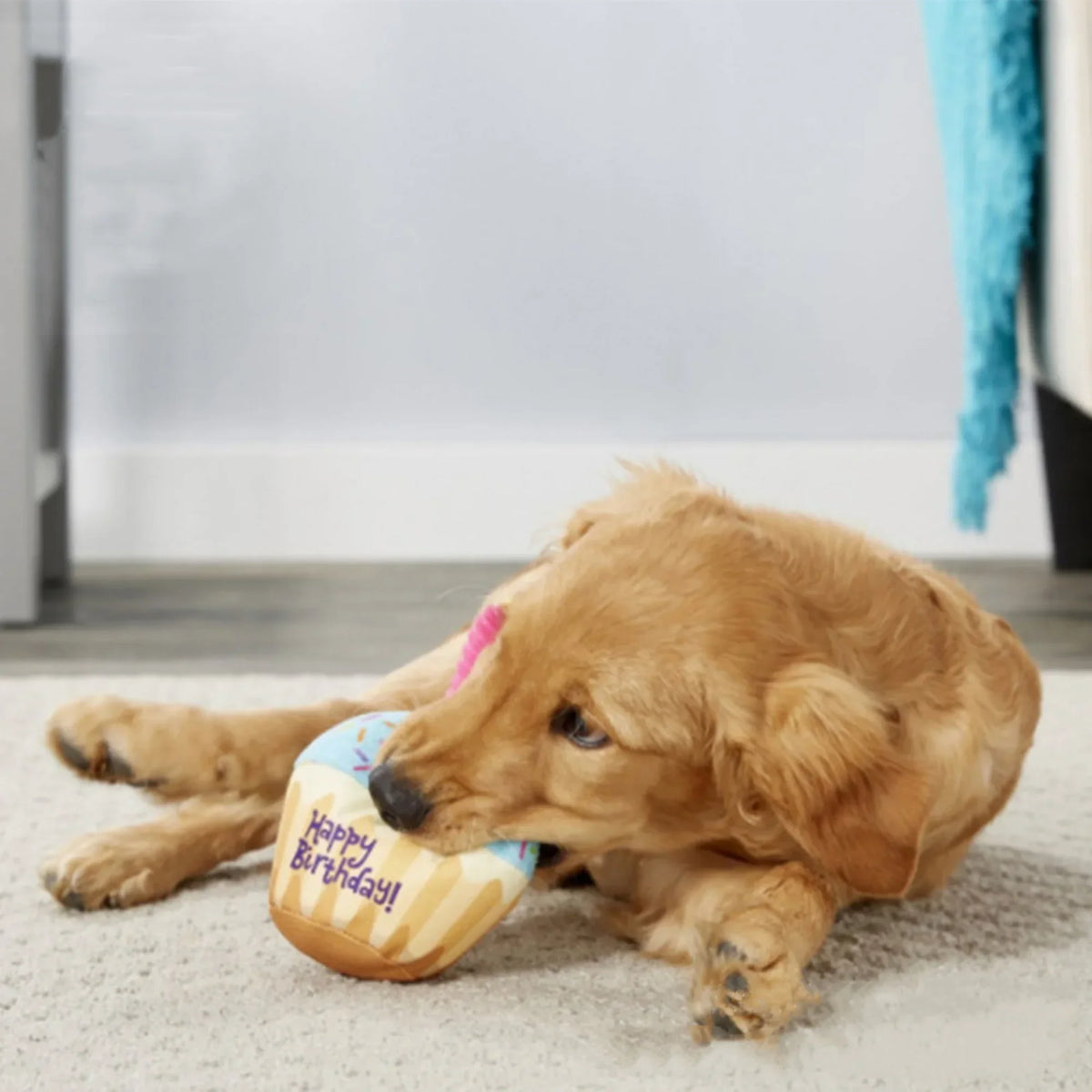 A golden dog lying on a rug with the plush cupcake toy between its paws