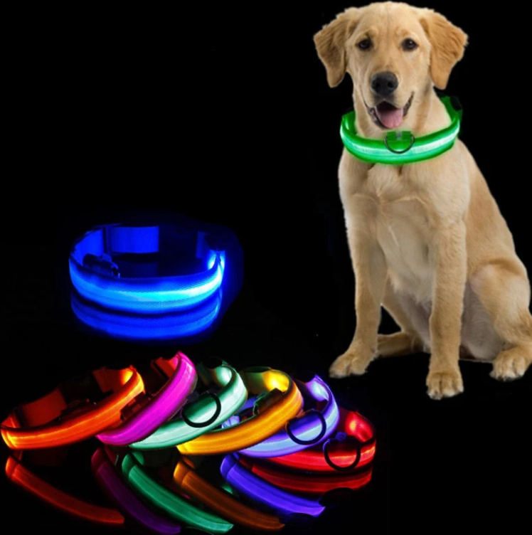 LED dog collars glowing in several colours in the dark, one worn by a sitting golden dog