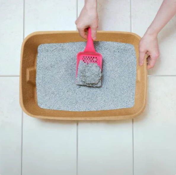 The moulded pulp litter tray seen from above, filled with grey litter and a pink scoop in use