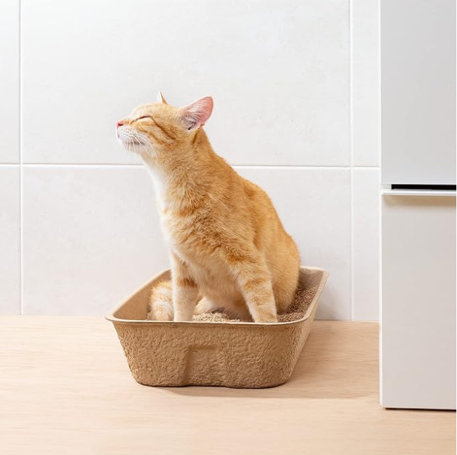 A ginger cat sitting in the moulded pulp litter tray against a tiled wall