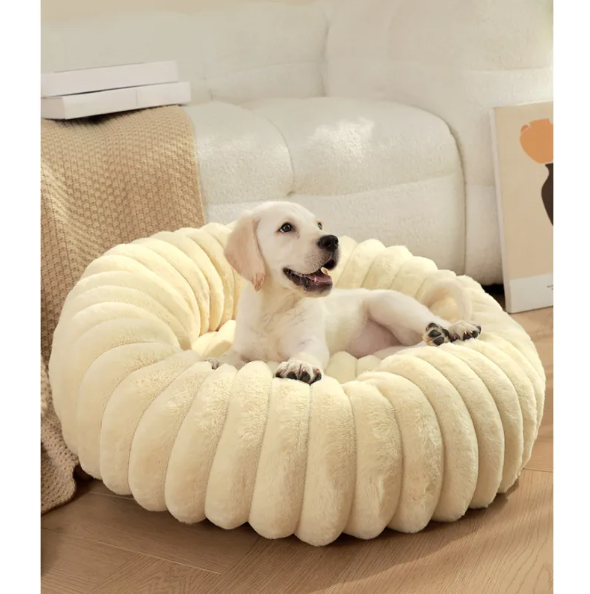 A pale puppy sitting in the cream ribbed plush donut bed