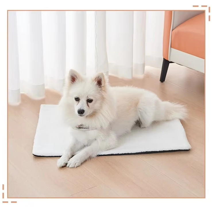 White spitz dog lying on a white version of the self-warming pet mat