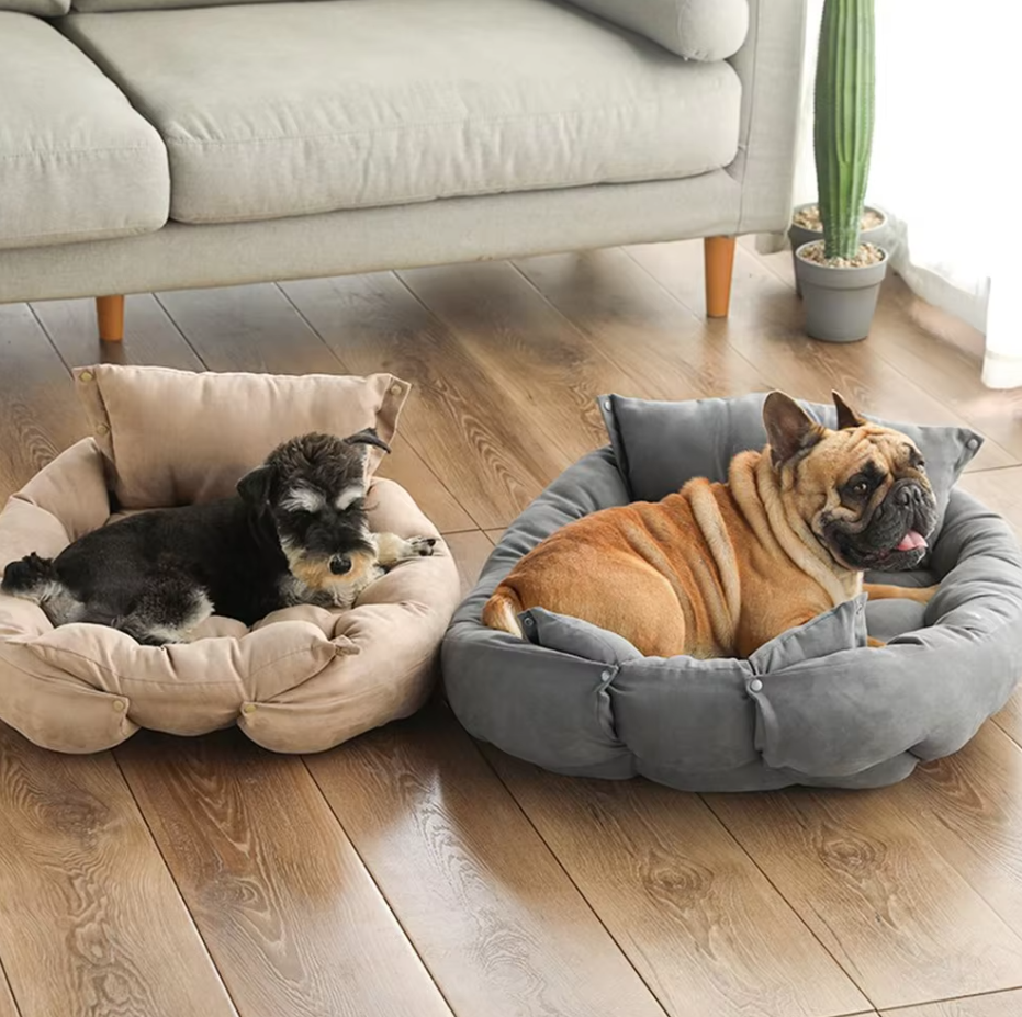 A schnauzer puppy in the taupe convertible dog bed and a French bulldog in the grey one on a wooden floor