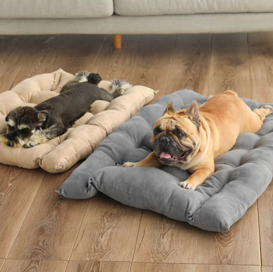 A schnauzer puppy on the taupe flat mat and a French bulldog on the grey flat mat on a wooden floor