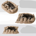 A schnauzer puppy on the taupe convertible dog bed in its bed shape, half open and flat