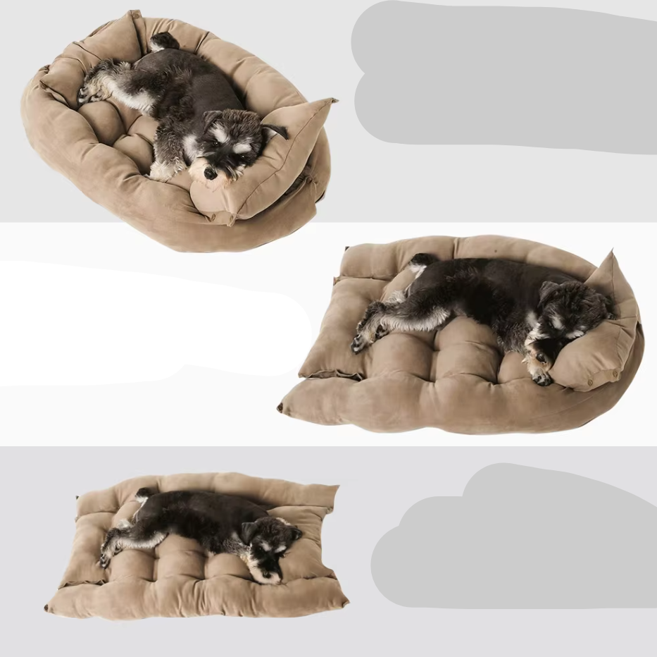 A schnauzer puppy on the taupe convertible dog bed in its bed shape, half open and flat