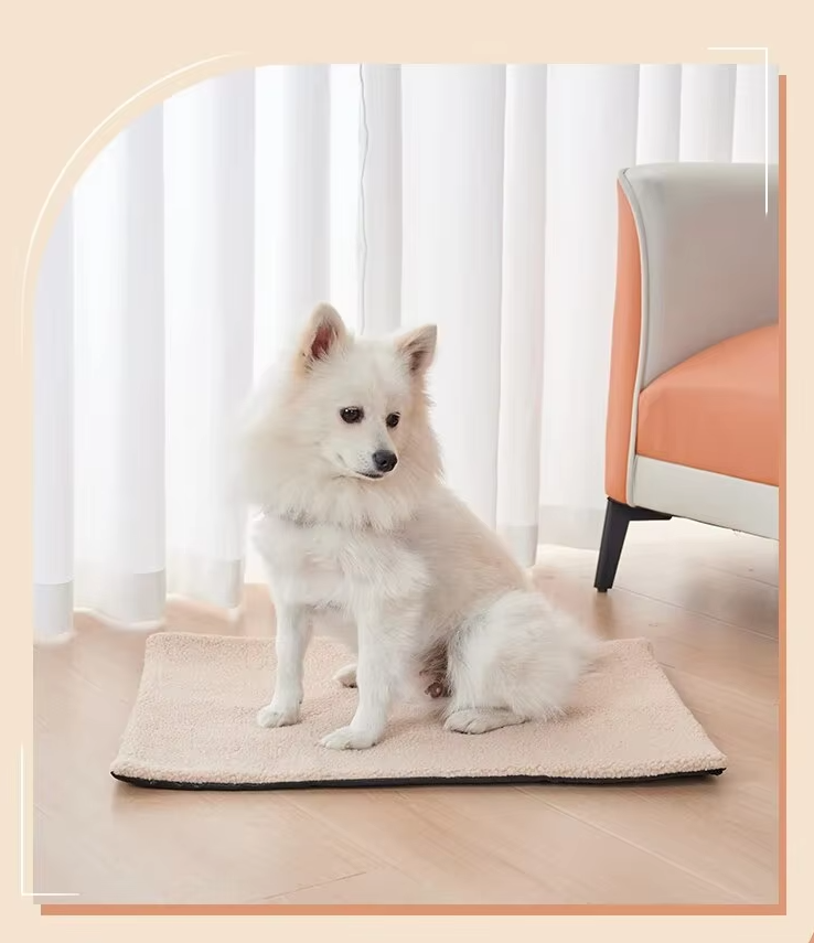 White spitz dog sitting on the beige self-warming pet mat beside an armchair
