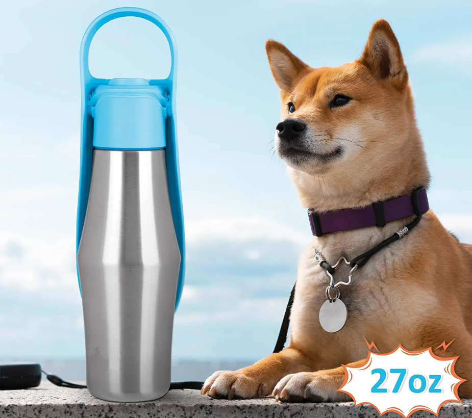Light blue and steel dog water bottle standing beside a sitting shiba, marked 27 oz