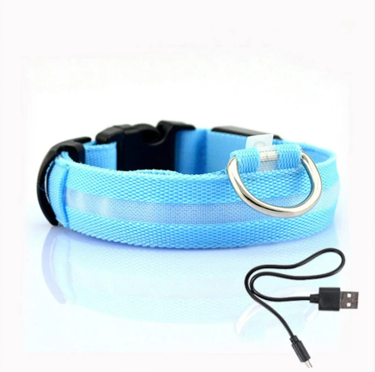Sky-blue LED dog collar with a USB charging cable