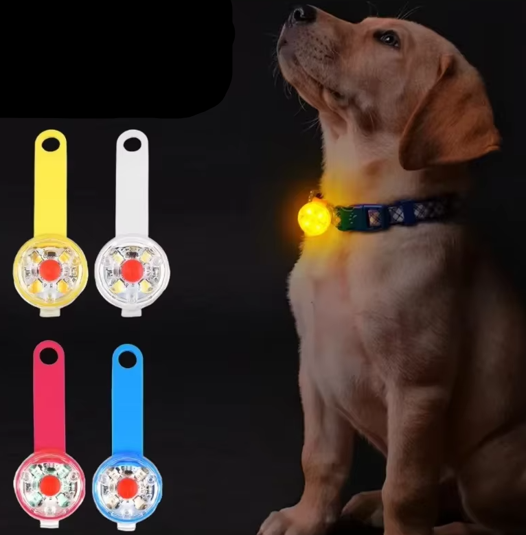 LED collar lights with yellow, white, red and blue straps, and a dog wearing one glowing yellow on its collar