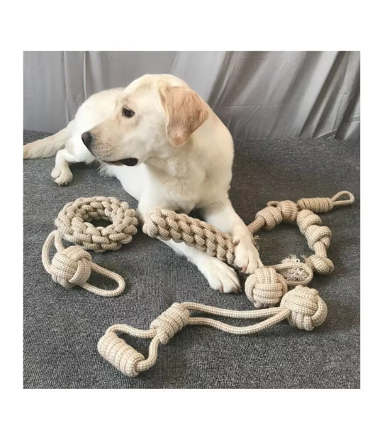 Cream Labrador lying beside a braided ring, a braided stick and knotted cotton rope toys