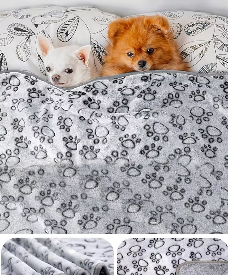 Chihuahua and Pomeranian lying under the grey paw print pet blanket on a bed