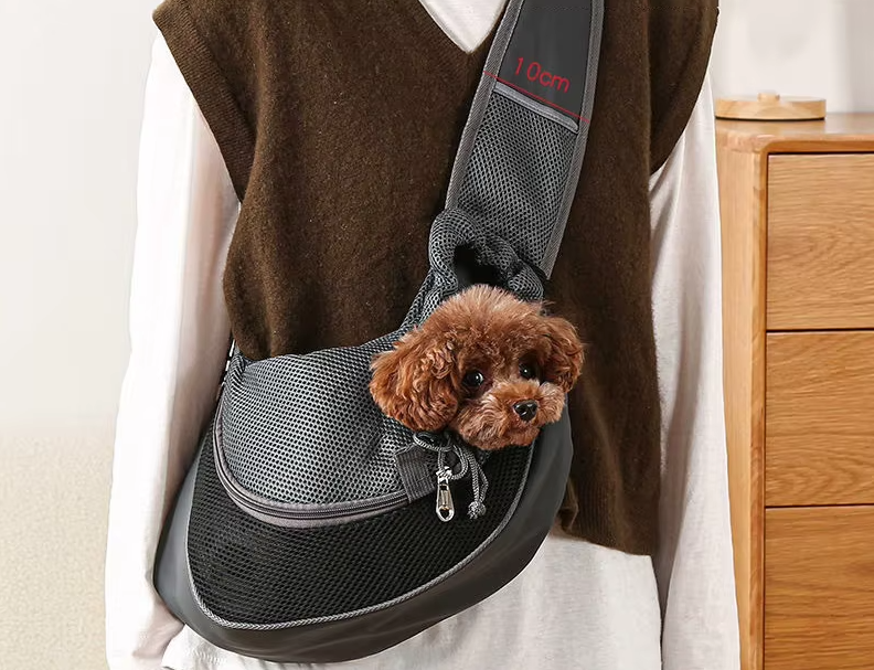 A small brown dog looking out of the black mesh pet sling worn over a jumper