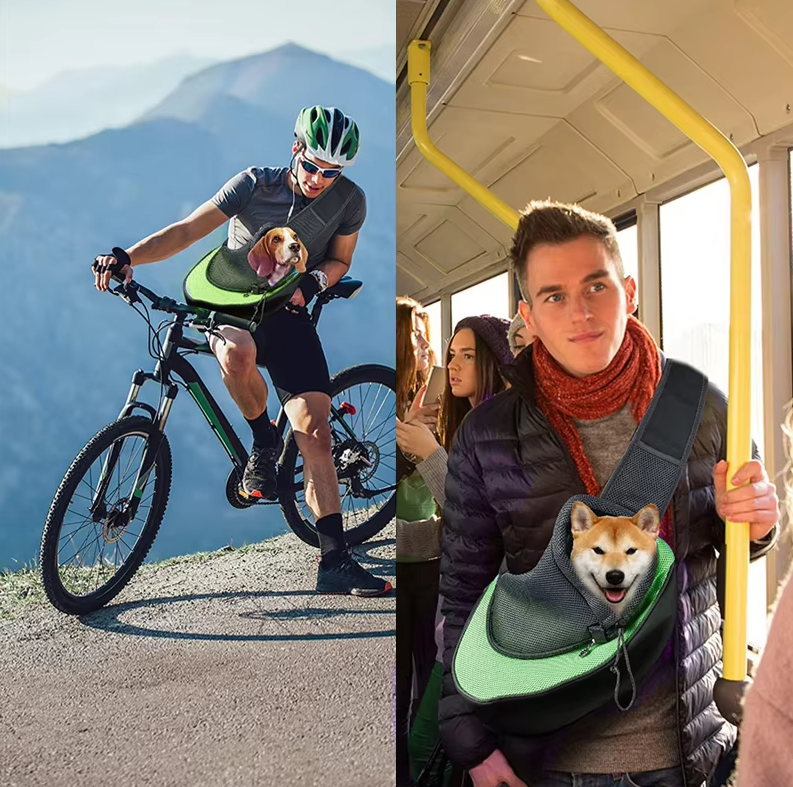 A beagle in the green mesh pet sling on a cyclist, and a dog in the sling on a bus