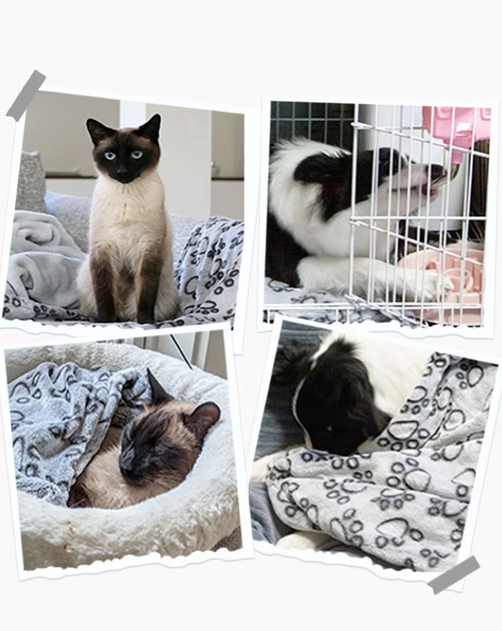 Four snapshots of cats and a dog lying on and under the grey paw print pet blanket