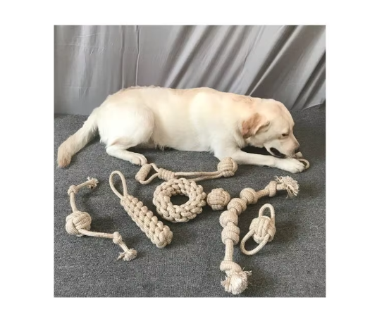 Cream Labrador lying on a grey carpet beside eight cotton rope toys