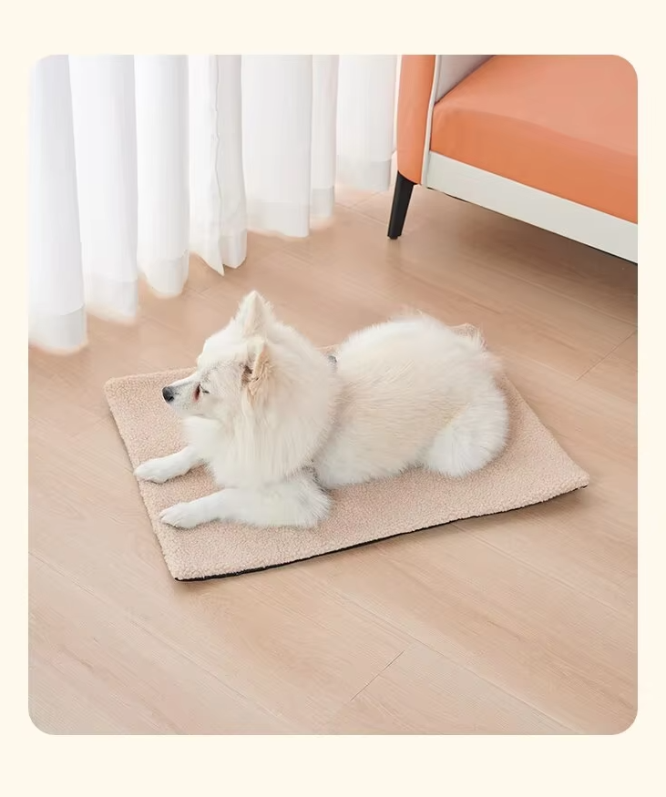 White spitz dog lying on the beige self-warming pet mat
