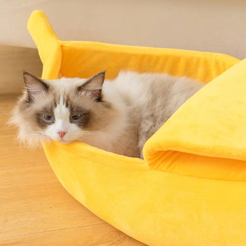 A ragdoll cat lying in a yellow banana cat bed