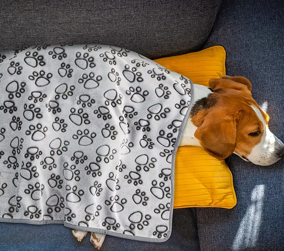 Beagle lying under the grey paw print pet blanket on a dark grey sofa