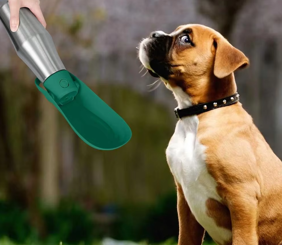 A boxer looking at the open dark green trough of the steel water bottle held out to it